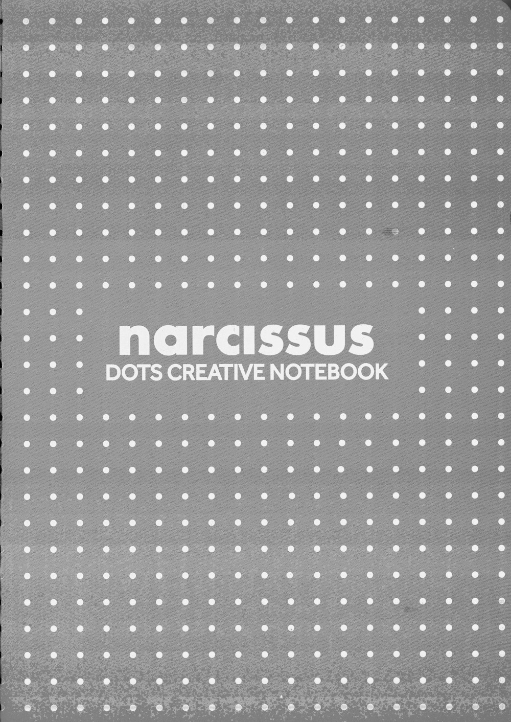 Narcis sešit DOTS A4 60l  80g šedý
