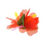 Sponka havajská velká červená