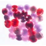 Bambule tylové 30 ks