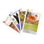 Karty kvarteto Plemena psů