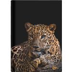 Záznamní kniha S-line A5 96l čtvereček