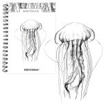 Skicovací notes B5 SP 60l čistý Medúza