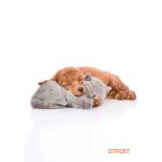 Sešit A4 56 listů Friends čtverečkovaný