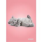 Sešit A4 56 listů Friends čtverečkovaný