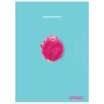 Sešit A5 54 listů Fresh Fruit čtverečkovaný