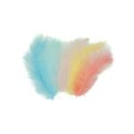 Peříčka dekorační pastelový mix 50 ks