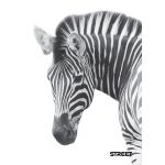 Sešit A5 54 listů Safari linkovaný