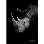 Sešit A5 54 listů Safari linkovaný