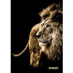 Sešit A5 54 listů Safari linkovaný