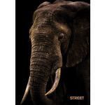 Sešit A5 54 listů Safari linkovaný