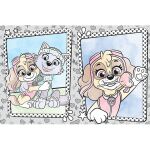 Omalovánky A4 vodové Tlapková patrola