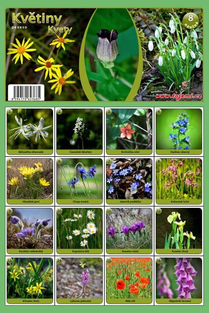 MP pexeso A4 Květiny