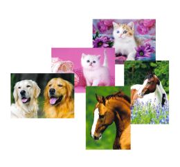 Pohlednice zvířátka mix