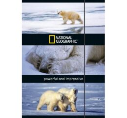 Desky s gumou National Geographic A4