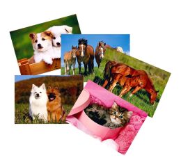 Pohlednice S-384 Zvířátka mix