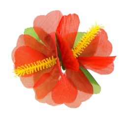 Sponka havajská velká červená