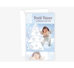Vánoční přání N 12-335