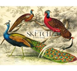 Náčrtkový blok Muse Peacock A5+