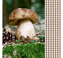 Ubrousky GOMAR L (20ks) Lets go mushrooming