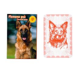 Karty kvarteto Plemena psů