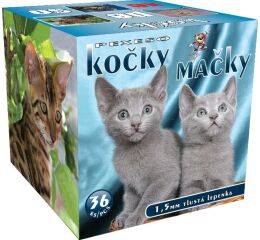 Pexeso Lux v krabičce - Kočky