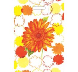 Taška PE s průhmatem Gerbera