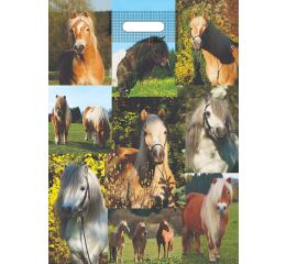 Taška PE s průhmatem Koně