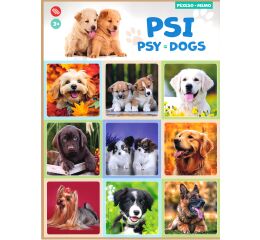 Pexeso Psi
