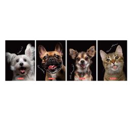 Záznamní kniha A6 96l 70g Crazy Animal čtv.