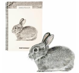 Skicovací notes A4 SP 60l čistý KRÁLÍK