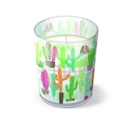Svíčka ve skle Cactus Garden