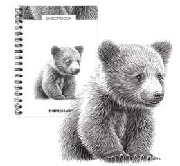 Skicovací notes B5 SP 60l čistý Medvěd