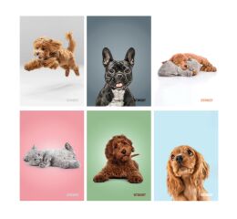 Sešit A4 56 listů Friends čtverečkovaný