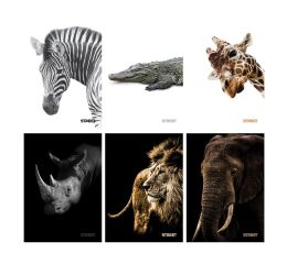 Sešit A5 54 listů Safari linkovaný