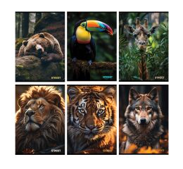 Sešit A5 54 listů Safari čtverečkovaný