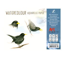 Akvarelový blok Art expert A5 300g