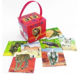 Pexeso v boxu Safari