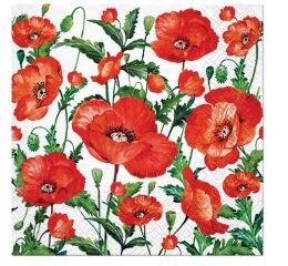 Ubrousky PAW Dekor L (20ks) Flanders Poppy