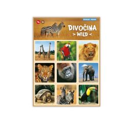 Pexeso Divočina