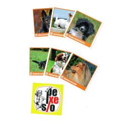 Pexeso Lux v krabičce - Psi