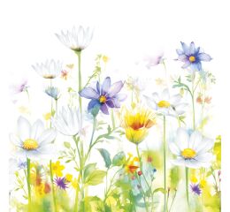 Ubrousky DAISY C (20ks) Beautifull Flower Meadow