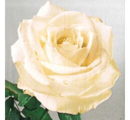 Ubrousky Paper Design L (20ks) Elina