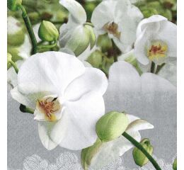 Ubrousky Paper Design L (20ks) orchid festival