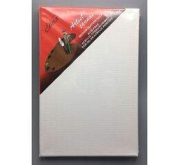 Plátno malířské 50 x 60 cm