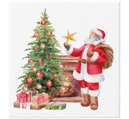 Ubrousky PAW Softpoint ( 20ks ) Winter Magic