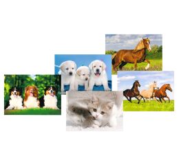 Pohlednice S-428 Zvířátka mix