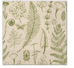 Ubrousky PAW Dekor C We Care (20ks) Forest Nature