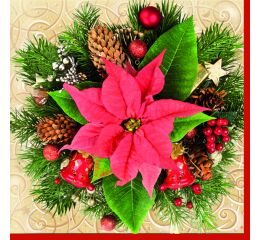 Ubrousky DAISY L (20ks) Red Poinsettia