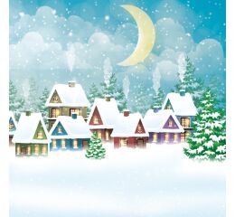 Ubrousky DAISY L (20ks) Snowy Village Scene