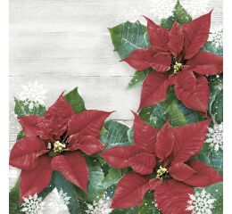 Ubrousky DAISY L (20ks) Red Poinsettias Frame
